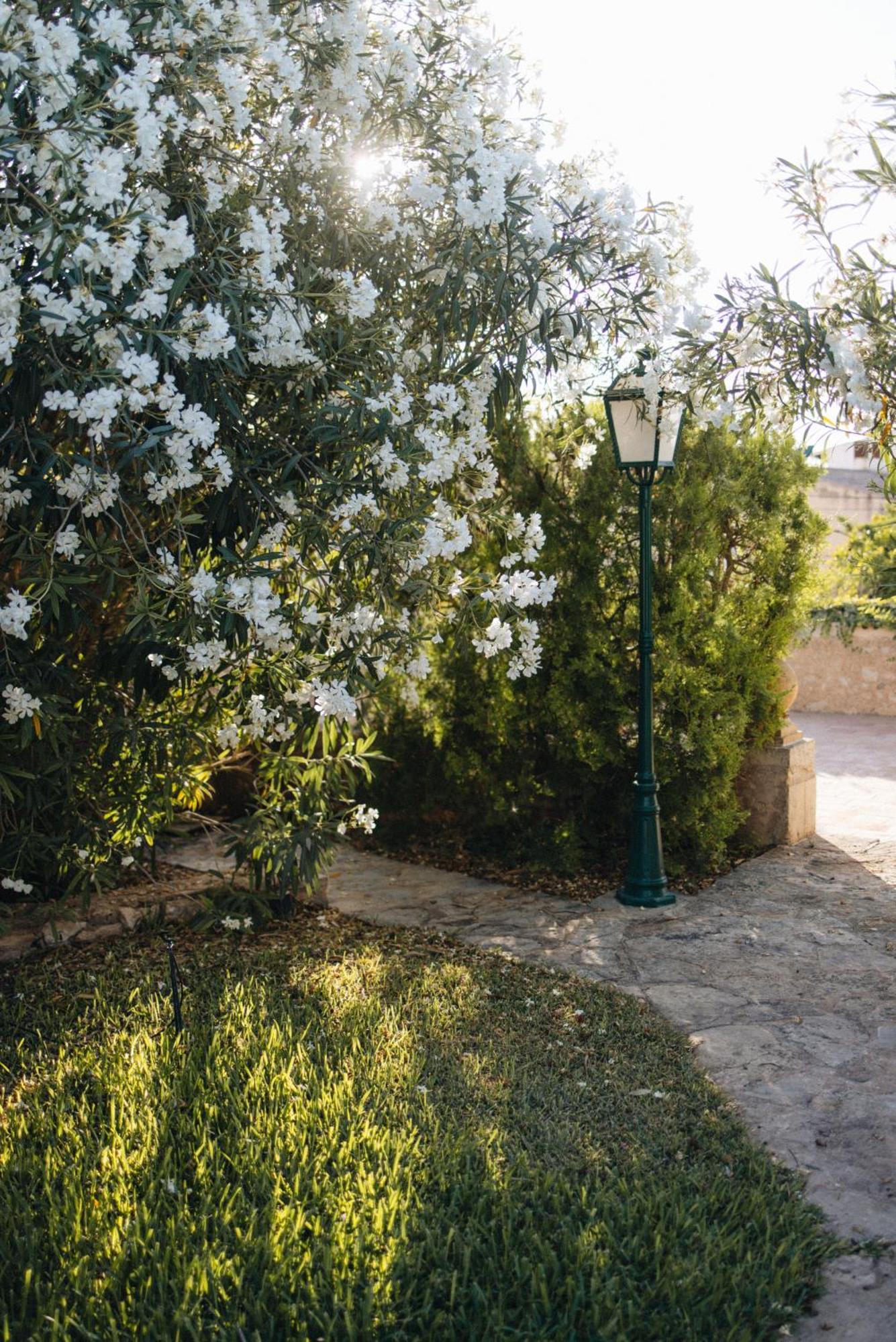 Can Moio Turismo de Interior Montuiri (Mallorca) Exterior foto